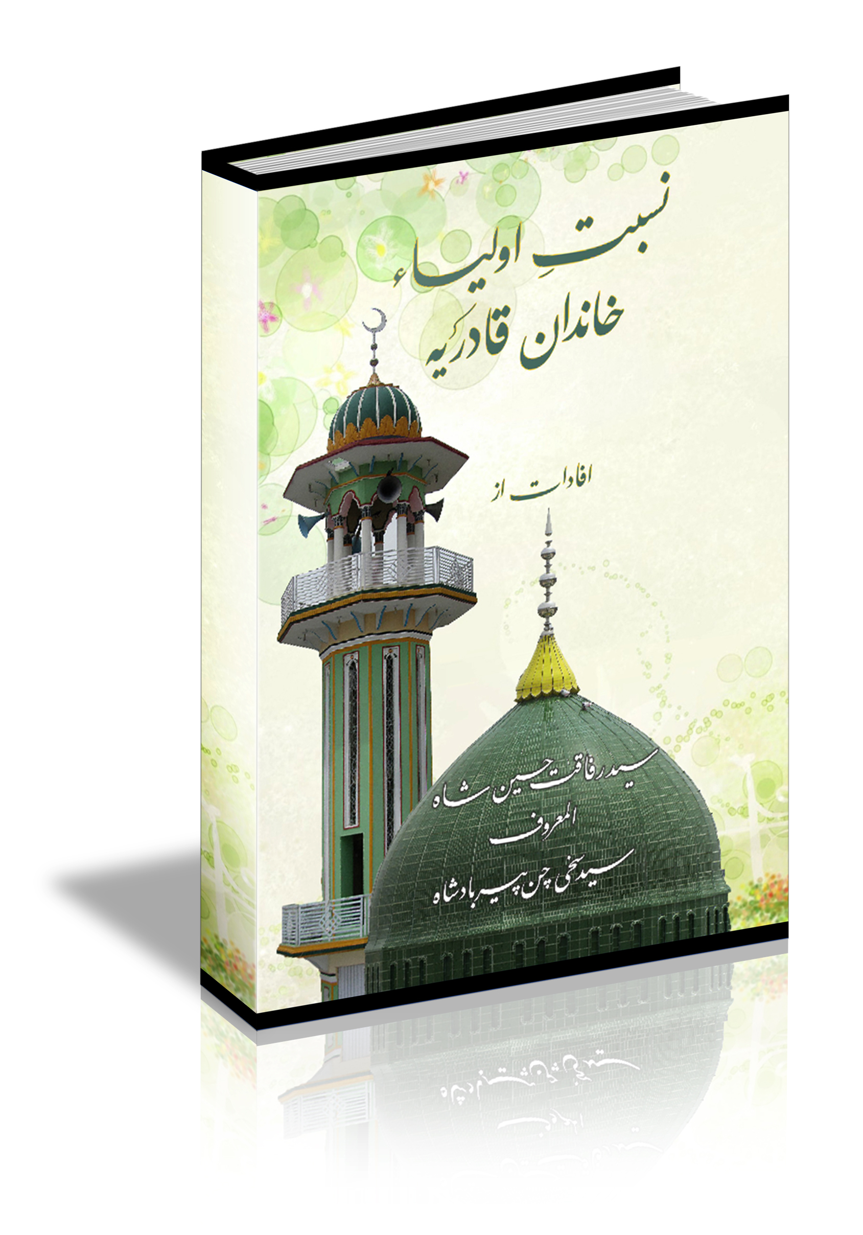 Nisbet-e-Auliya (2013)